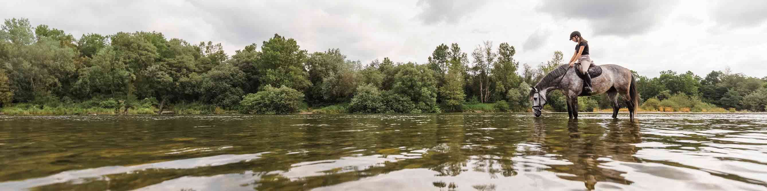 Pferde-Haftpflicht: Frau sitzt auf einem Pferd, das mit den Beinen in einem See steht und trinkt.