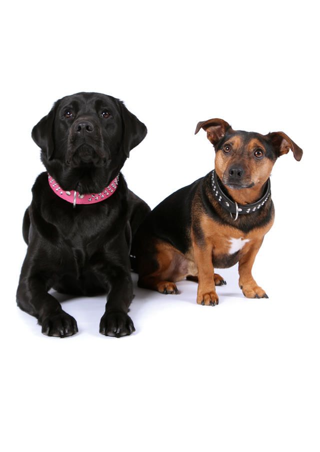Frieda und  Willi