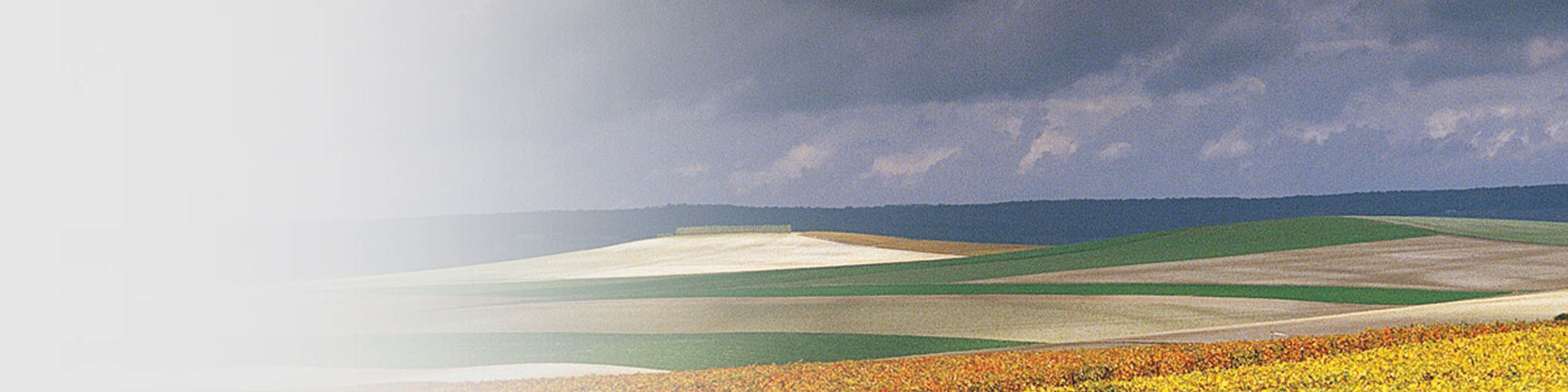 Über einen weite Landschaft mit Äckern und Wiesen ziehen dunkle Wolken auf.