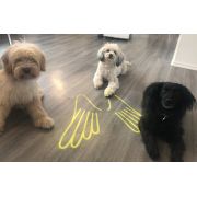 Bosse, Eddi und Rena