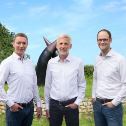 Greve e.K., Gellert e.K. und Auen e.K.