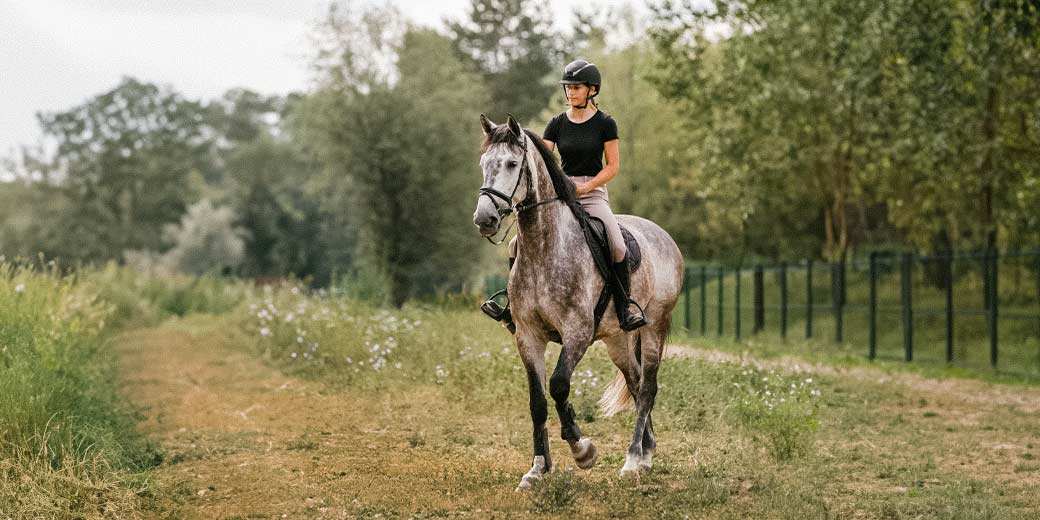 Pferdehalter-Haftpflichtversicherung: Frau mit Pferd